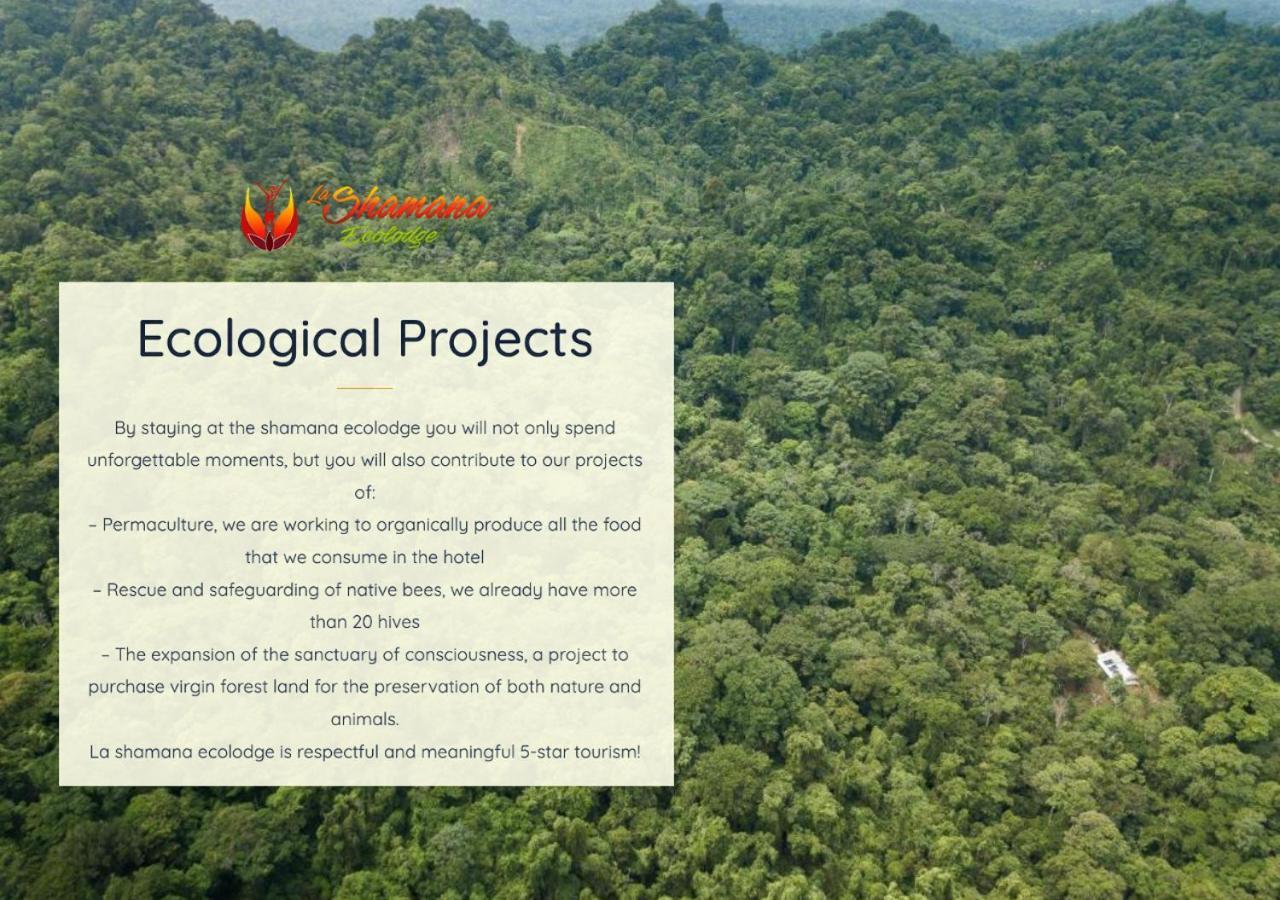 Lodge La Shamana - Ecological Concept In Jungle *