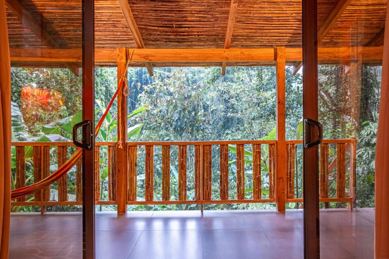 La Shamana - Ecological Concept In Jungle