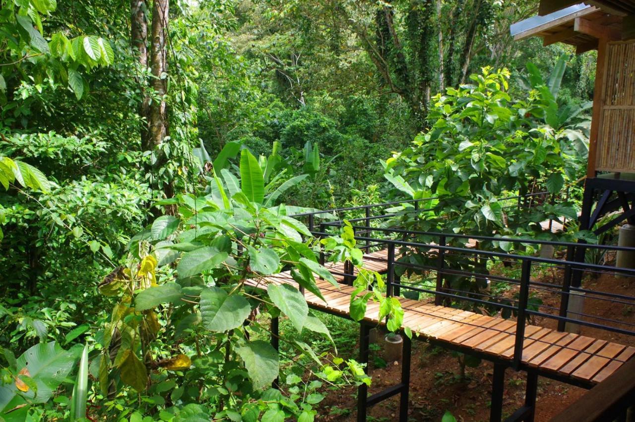 La Shamana - Ecological Concept In Jungle Cahuita