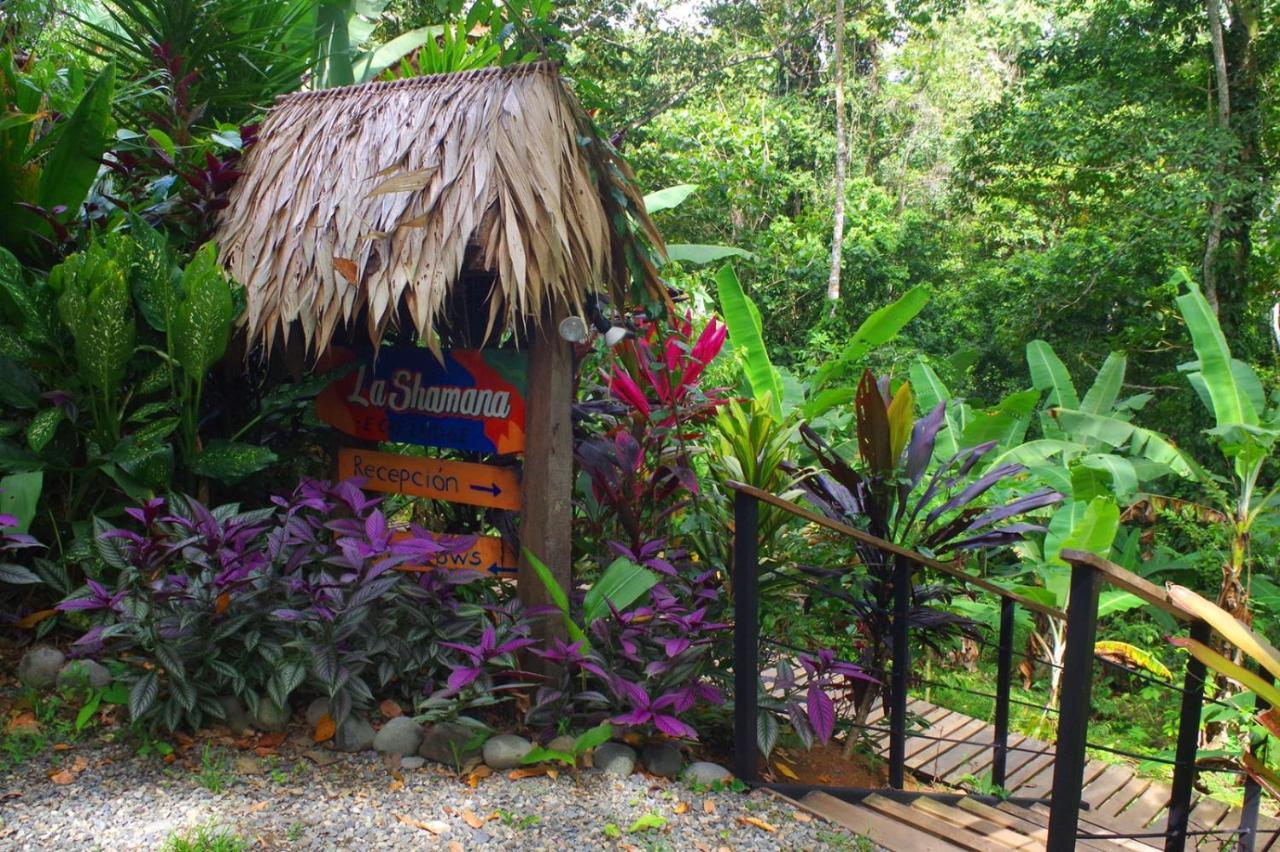 La Shamana - Ecological Concept In Jungle Cahuita