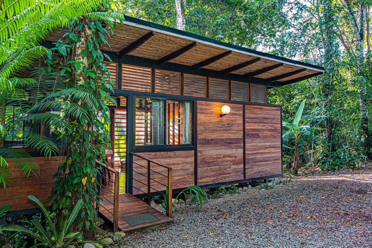 La Shamana - Ecological Concept In Jungle Lodge