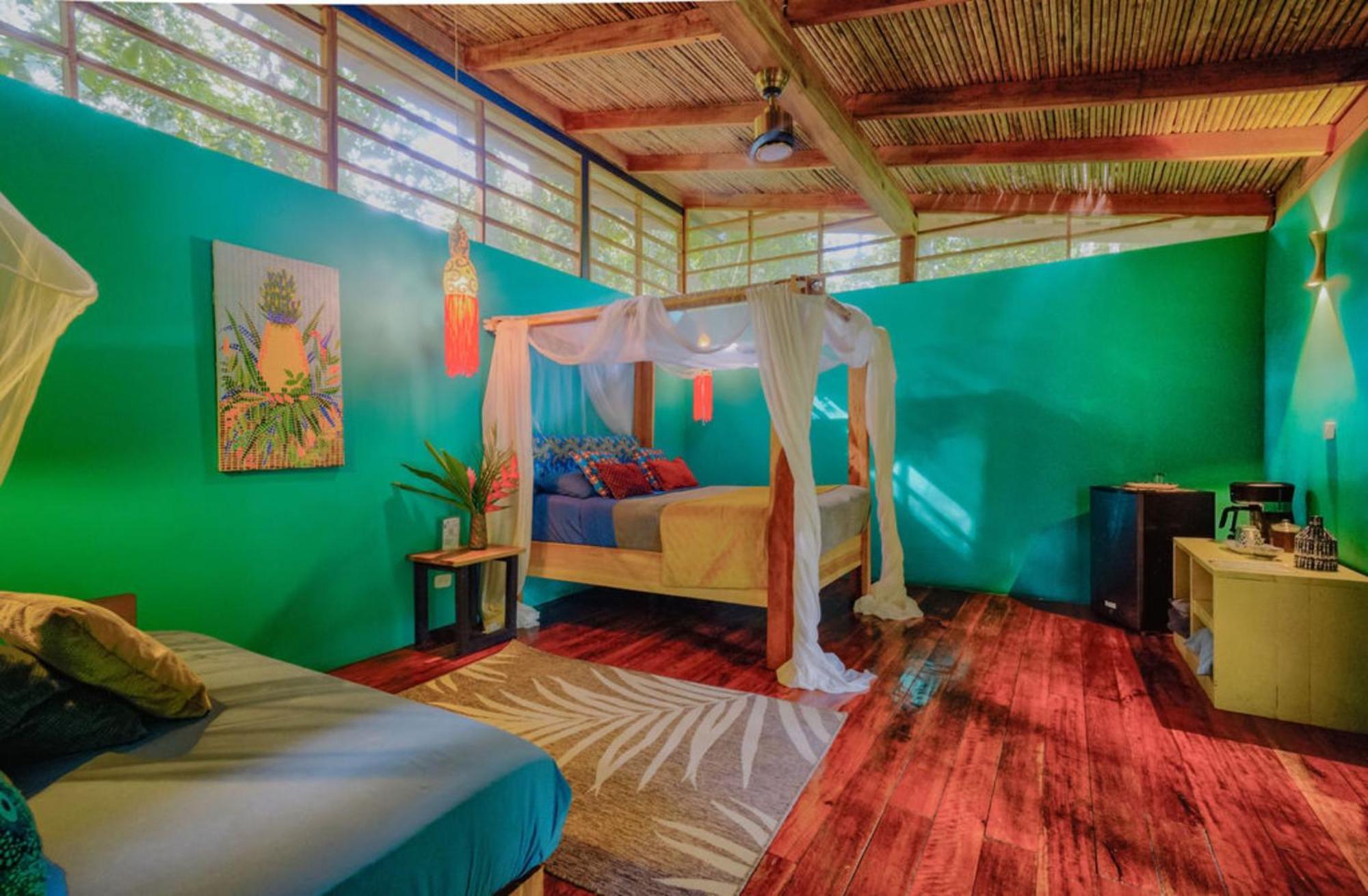La Shamana - Ecological Concept In Jungle