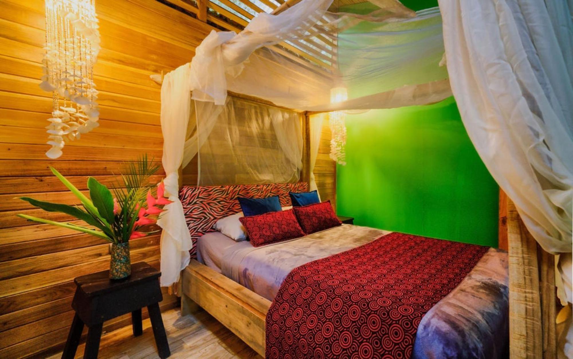 La Shamana - Ecological Concept In Jungle