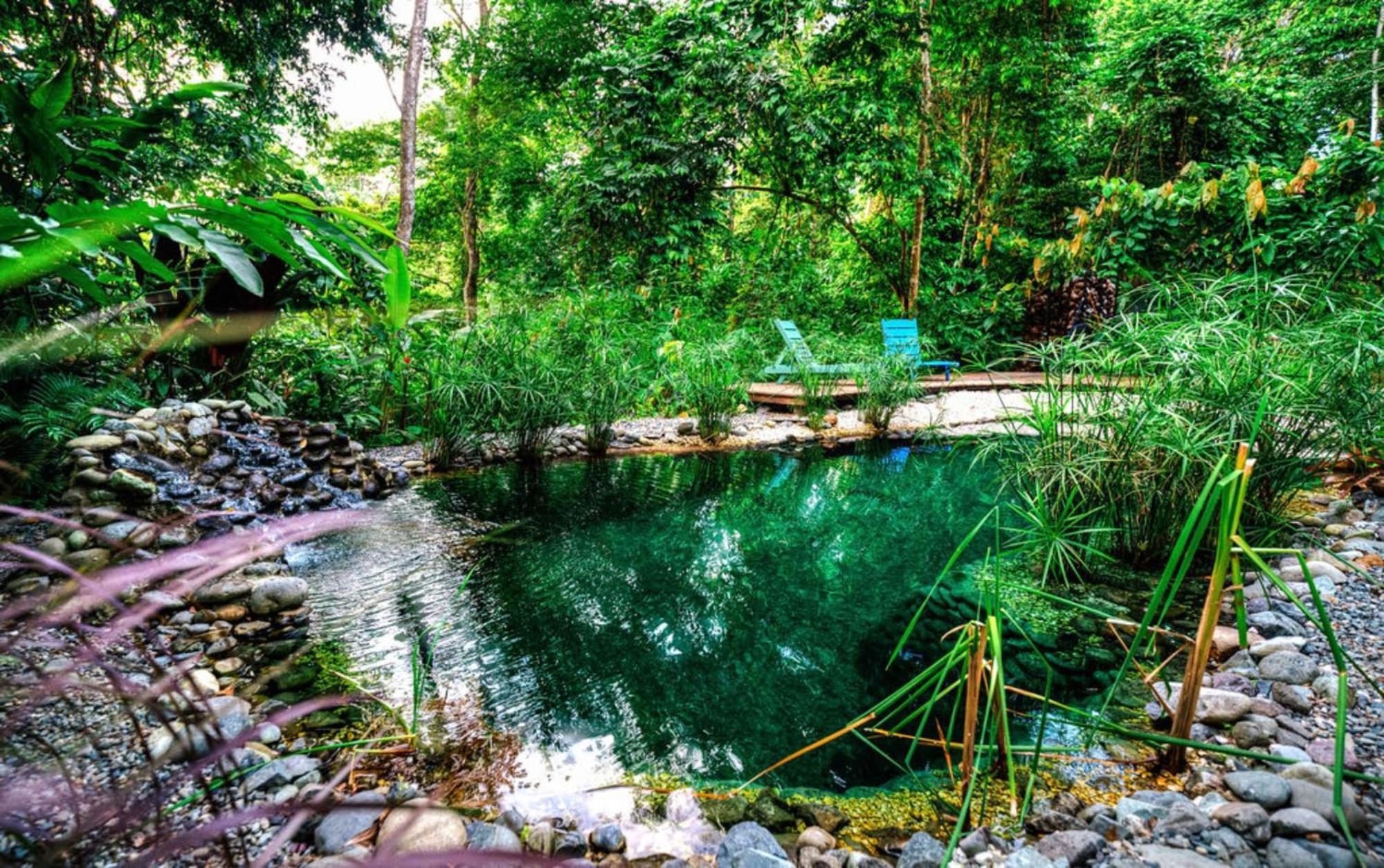 La Shamana - Ecological Concept In Jungle Cahuita