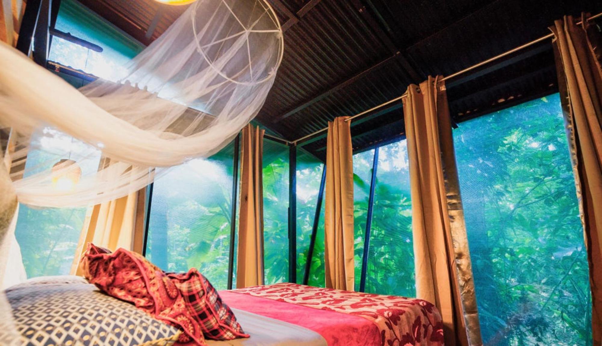 La Shamana - Ecological Concept In Jungle