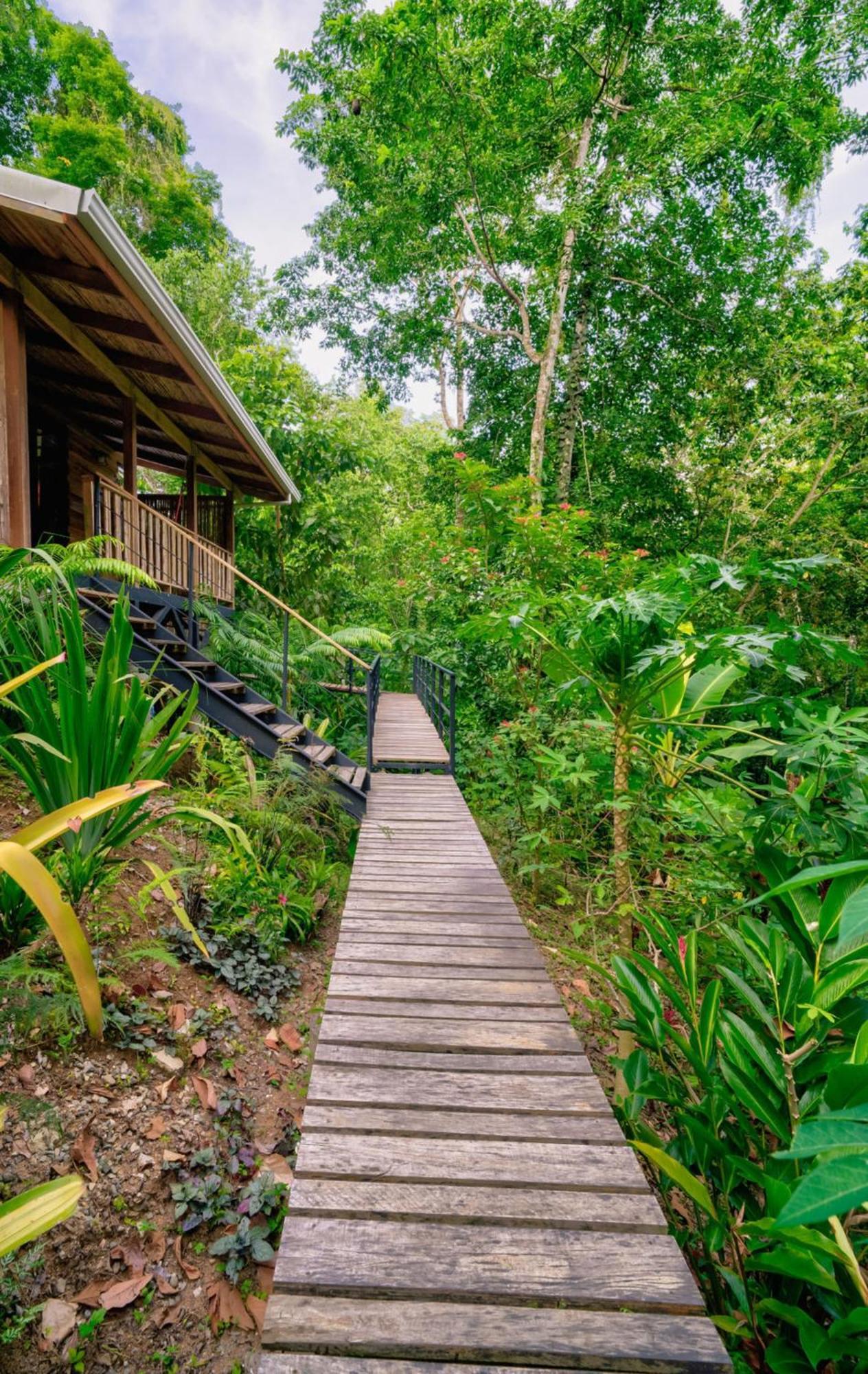 Lodge La Shamana - Ecological Concept In Jungle