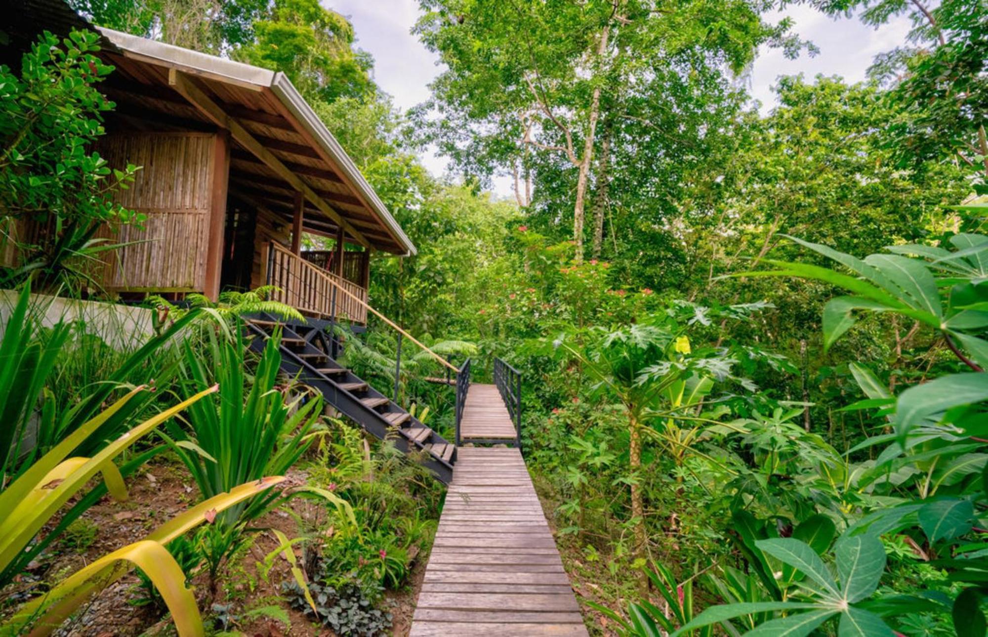 Lodge La Shamana - Ecological Concept In Jungle Cahuita