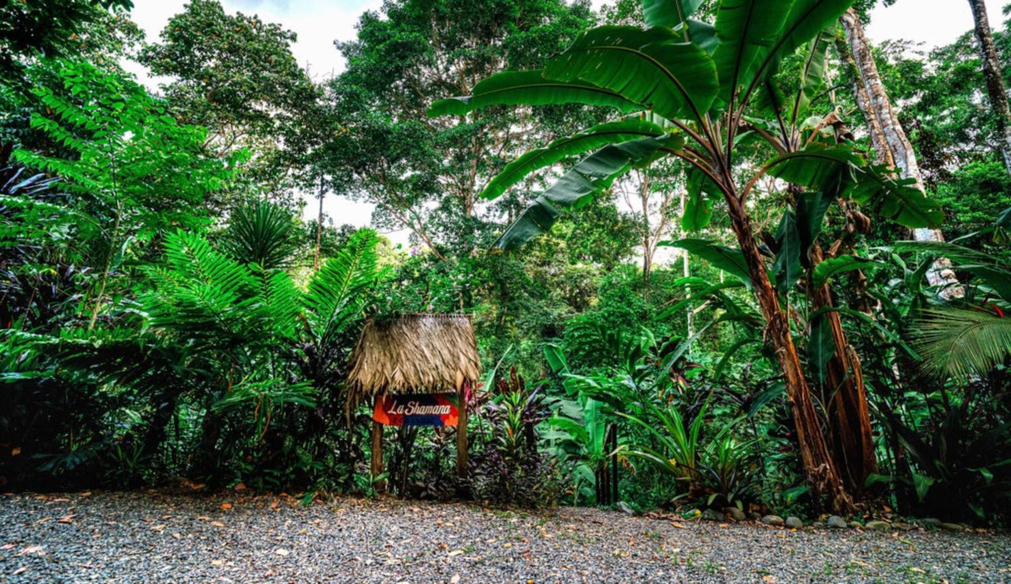 Lodge La Shamana - Ecological Concept In Jungle