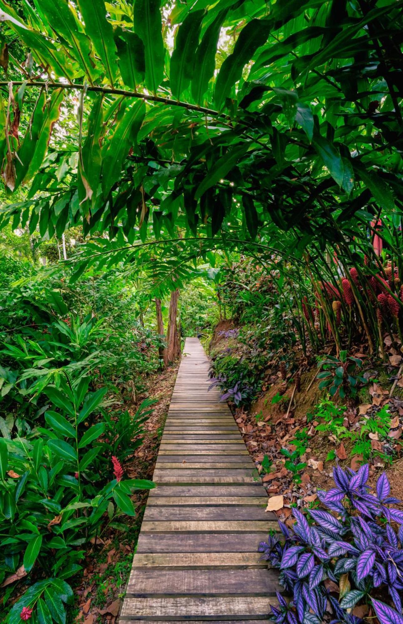 Lodge La Shamana - Ecological Concept In Jungle *