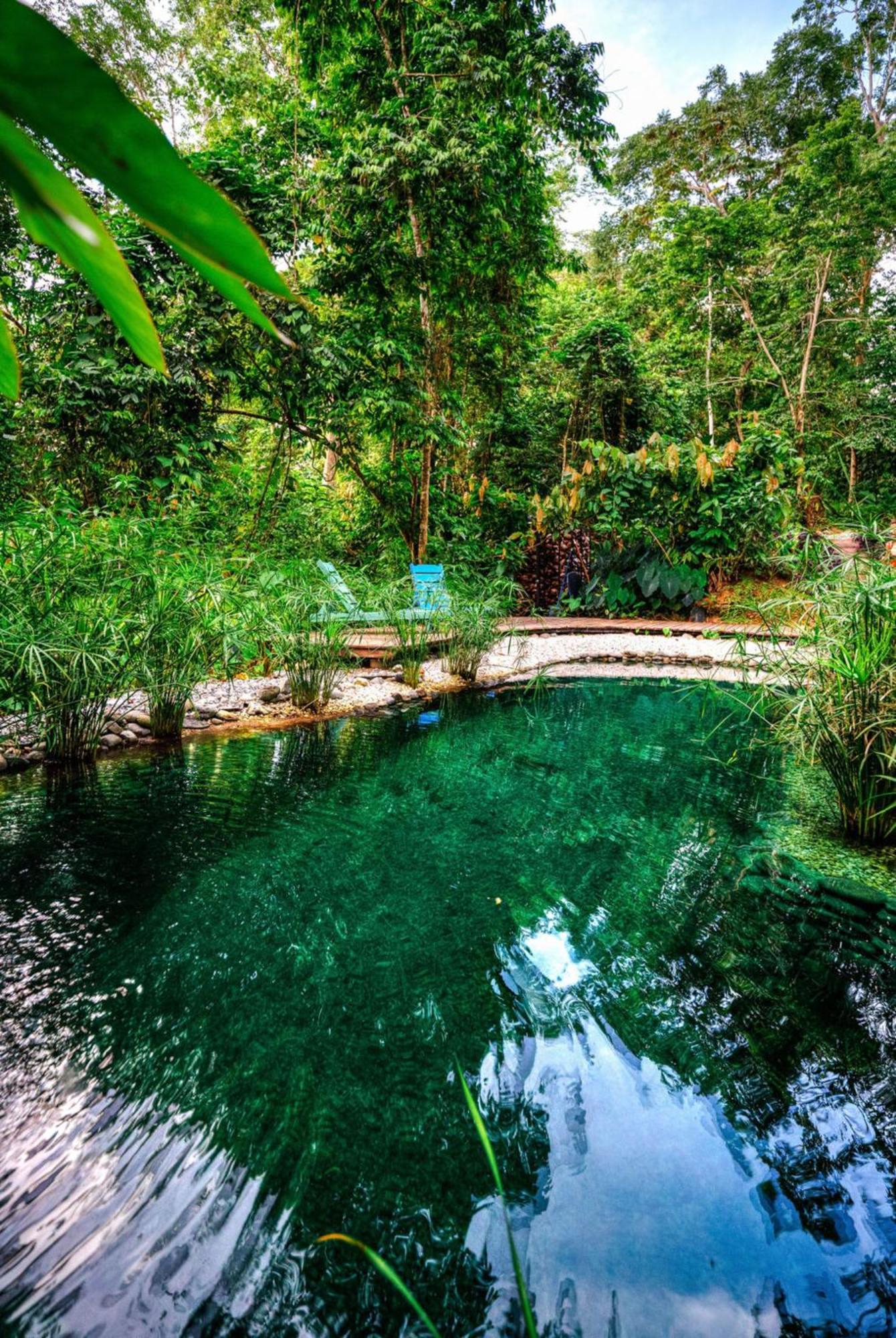La Shamana - Ecological Concept In Jungle Cahuita