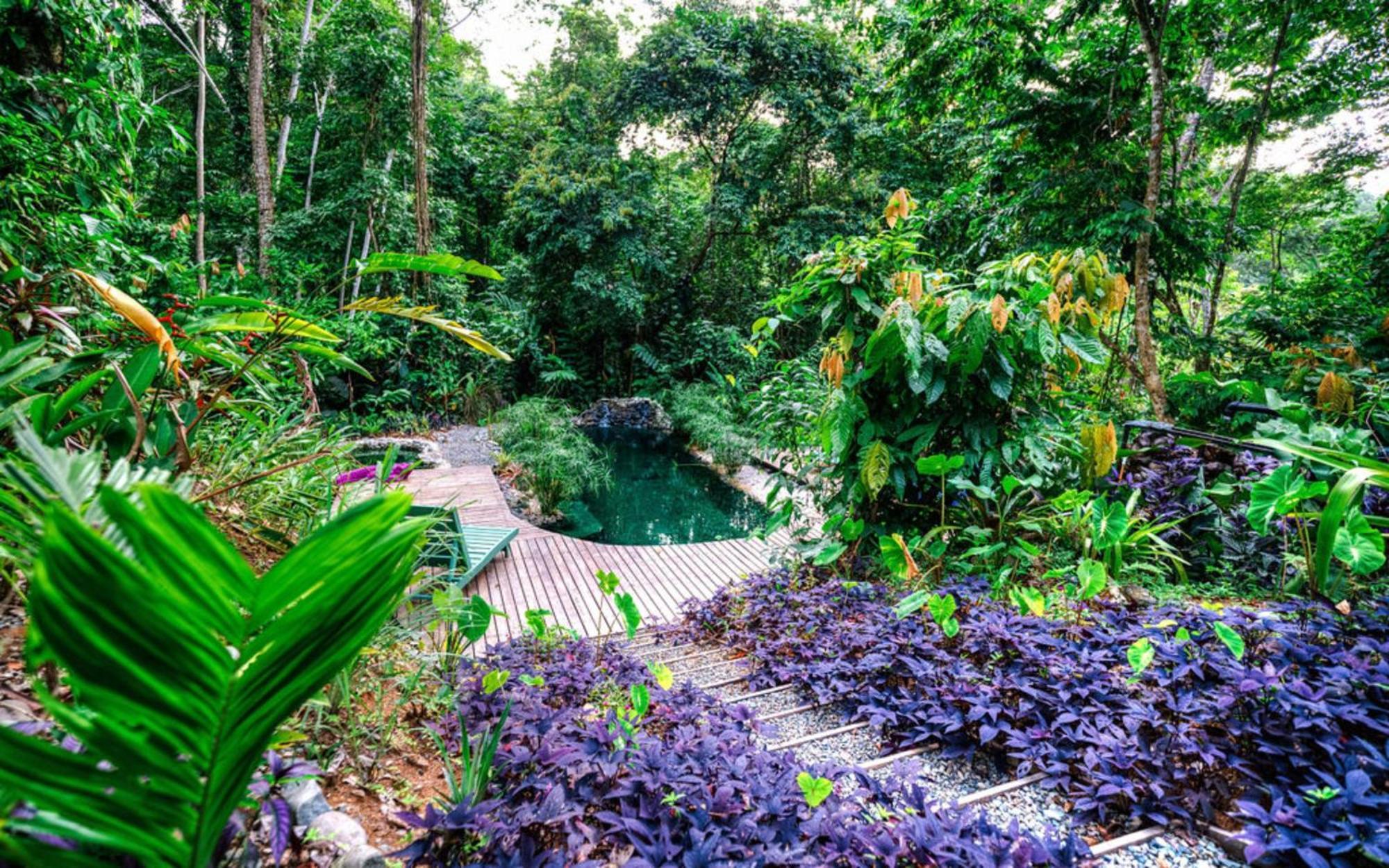 Lodge La Shamana - Ecological Concept In Jungle *