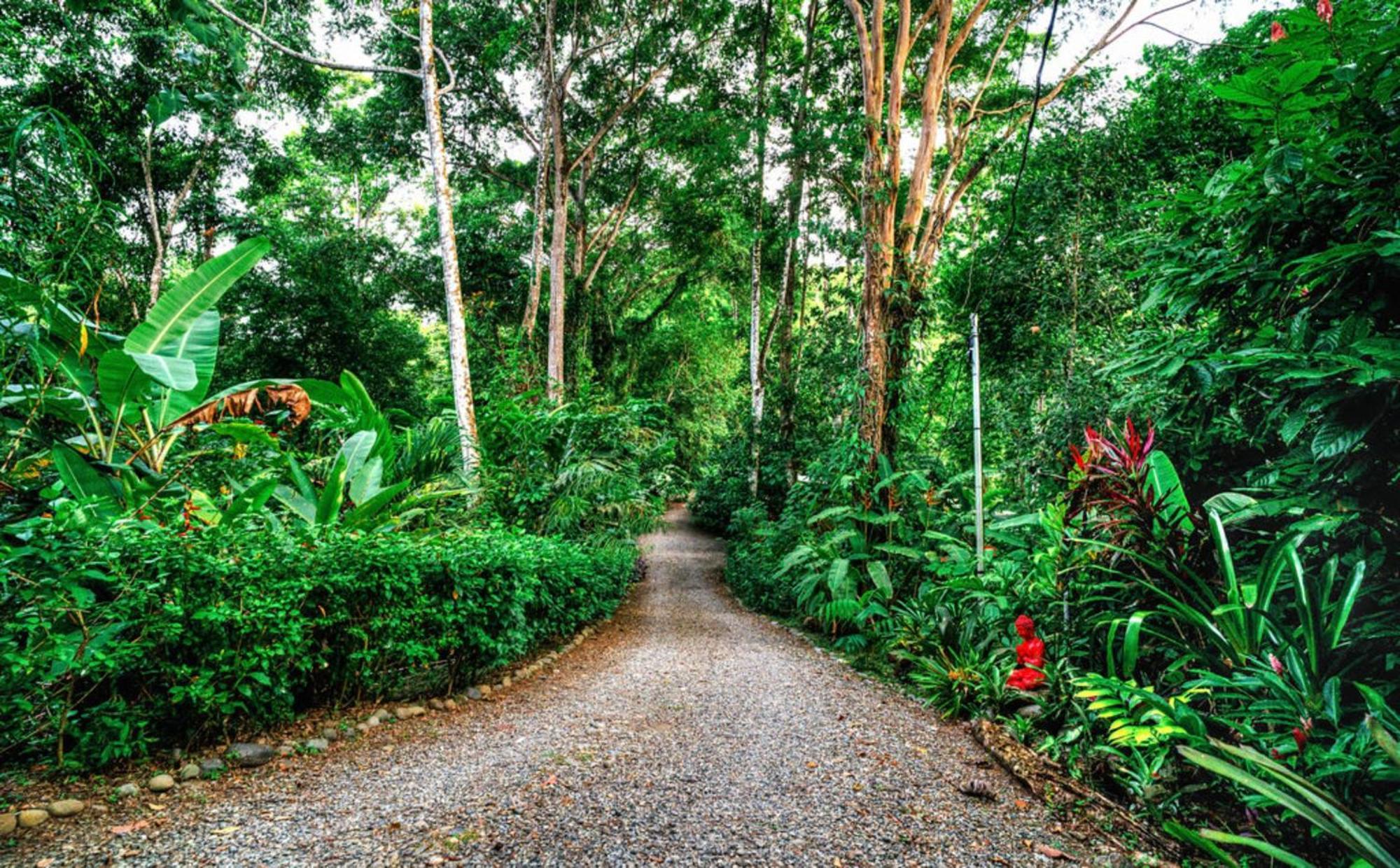 La Shamana - Ecological Concept In Jungle