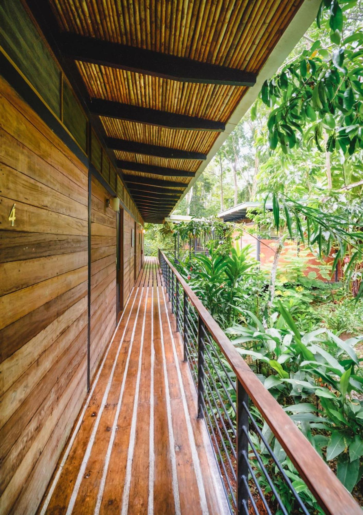 Lodge La Shamana - Ecological Concept In Jungle *