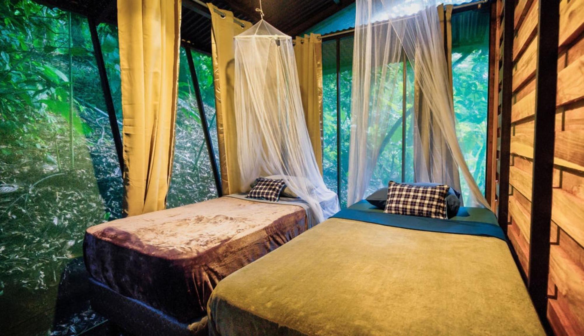 La Shamana - Ecological Concept In Jungle