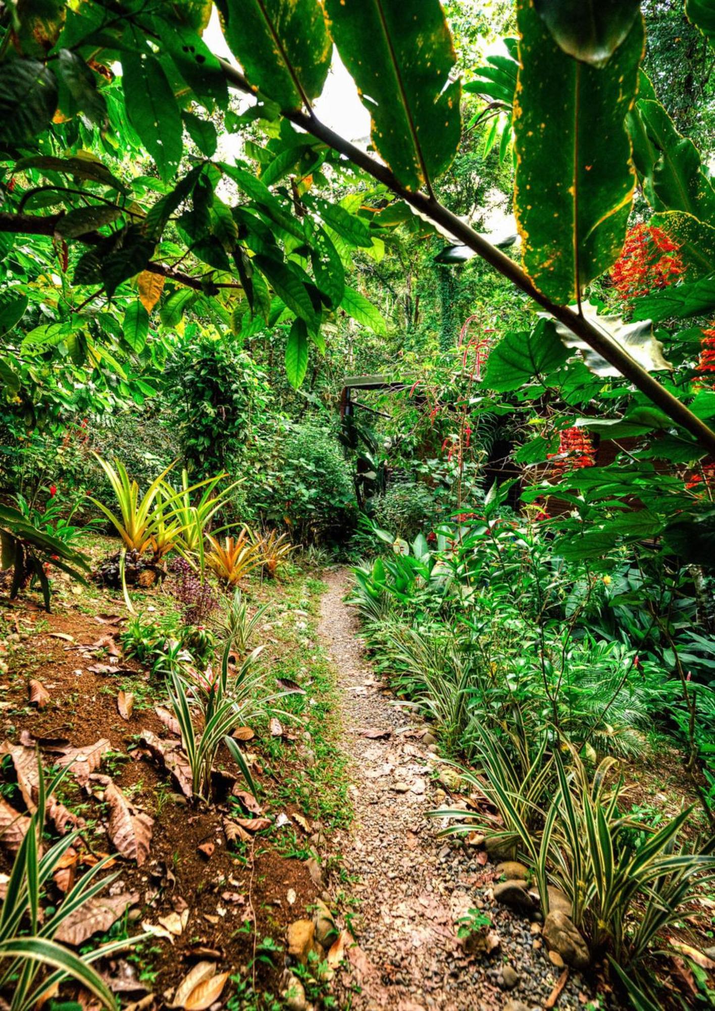 La Shamana - Ecological Concept In Jungle