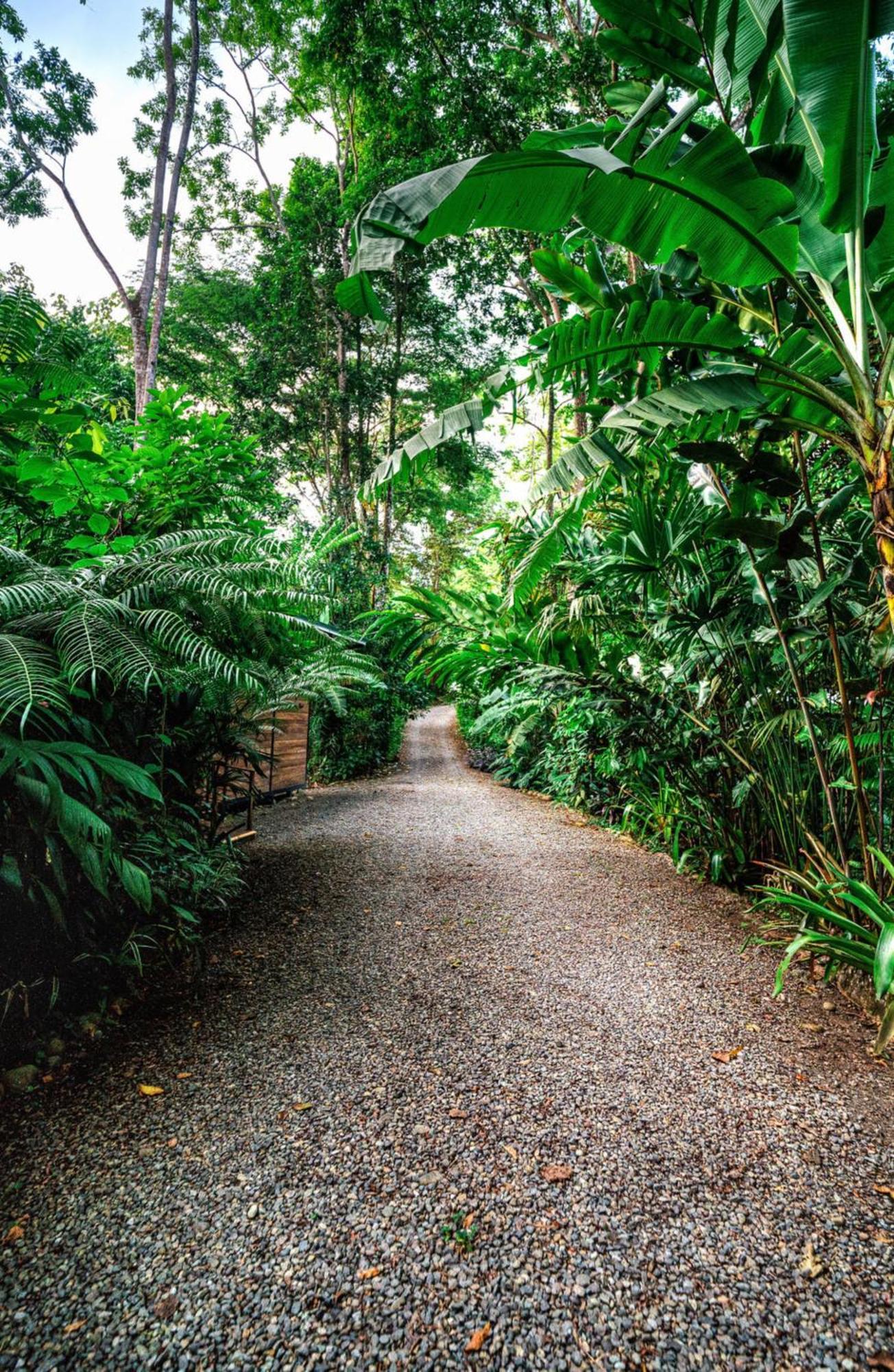 La Shamana - Ecological Concept In Jungle Cahuita