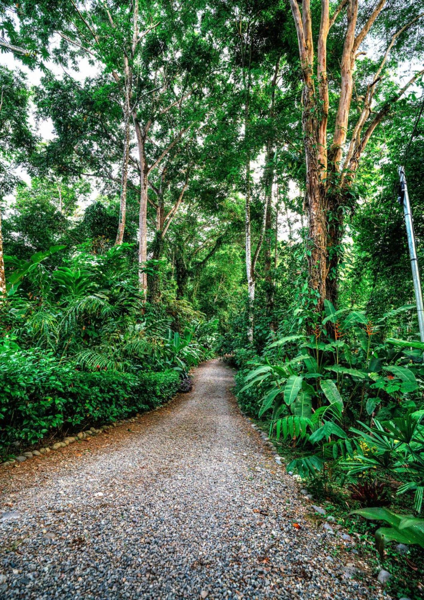 Lodge La Shamana - Ecological Concept In Jungle Cahuita
