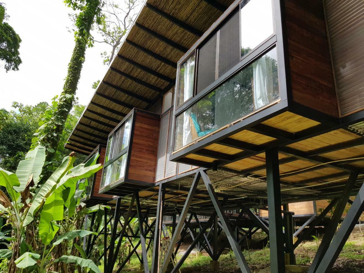 Lodge La Shamana - Ecological Concept In Jungle Cahuita